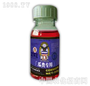 ������-�����