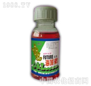 ������-��Ȼ������