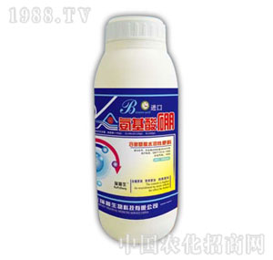 ������-��������