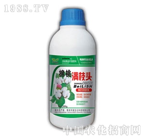 ��(r��n)ԣ-���ҝM֦�^