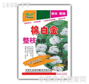 ��ԣ-�ް׽���֦����