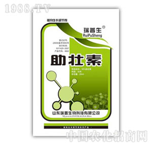 ������-������