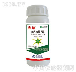 ���r(n��ng)(li��n)��-����