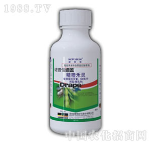 �Z����-�ݸ�좮������}