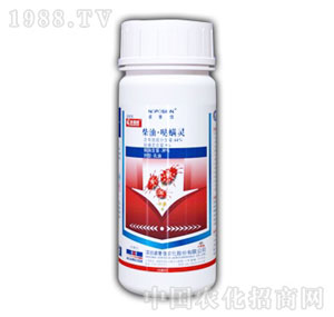 �Z����-�ѝM��