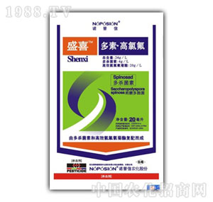 �Z����-ʢϲ