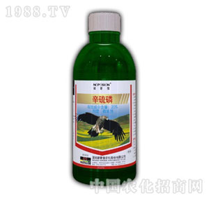 �Z����-20%������N2