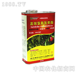 �����_(d��)-�Ø�(l��)ʿ