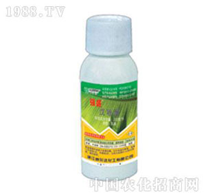 �����_-��ʢ