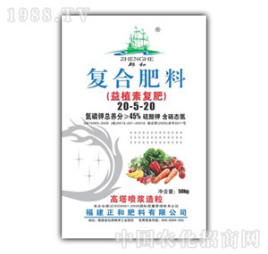 ����-����20-5-20