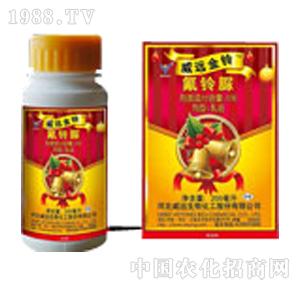 ���h(yu��n)����-���h(yu��n)��⏣�5%��������ͣ�