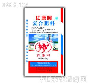 ����-�t�����ʴ�