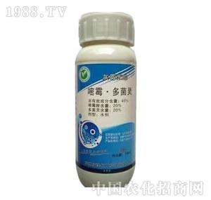 ����-��ù����`����ù�o(w��)ۙ��