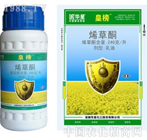 �A��-240��ϩ��ͪEC���ʰ�