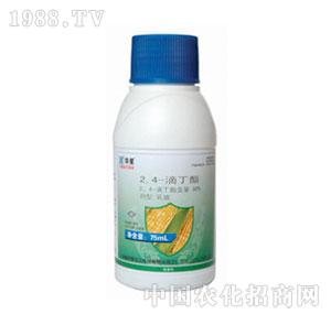 �A��-80%2��4���ζ���EC