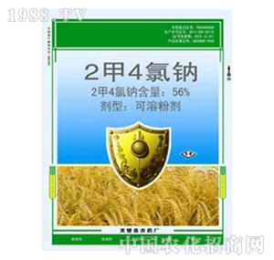 �A��-56%2��4���cSP