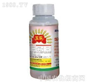 �I�r�Ƽ�-�񘷞I�r����