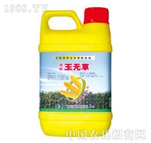 �I�r(n��ng)�Ƽ�-�I�r(n��ng)��o(w��)��