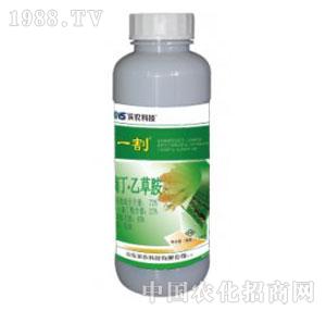 �I�r(n��ng)�Ƽ�-һ���r(n��ng)���z