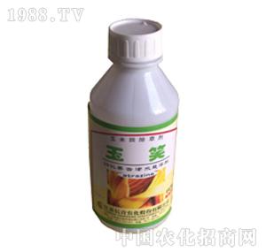 �L���r(n��ng)��-��Ц