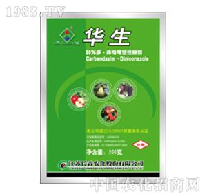 �L���r(n��ng)��-�A��