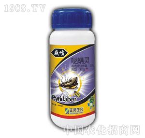 ����F-����