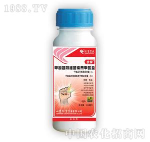 �G�S�r(n��ng)ˎ-�y(t��ng)��