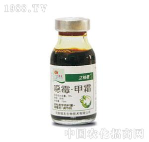 ����-����ή