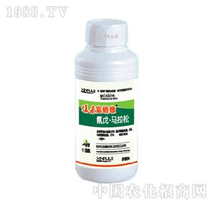 ���՘�-�����R����