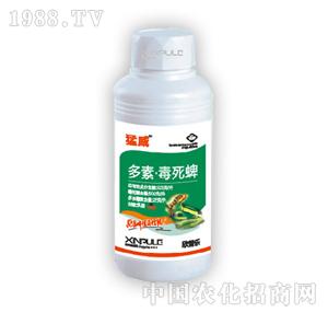 ���՘�-����