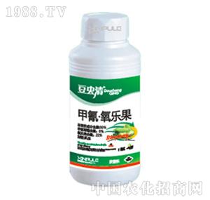 ���՘�-����������