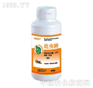 ���՘�-���x��