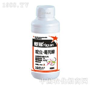 ���՘�-��x������