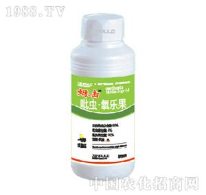 ���՘�-���x������