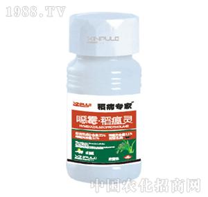 ���՘�(l��)-�fù�����`