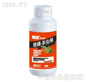 ���՘�(l��)-���ך��x(ch��ng)��