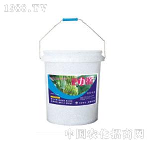 �r(n��ng)�_(d��)����-�_ʩ�ʣ��ϣ�