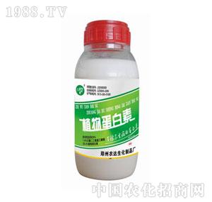 �r(n��ng)�_(d��)����-ֲ�ﵰ����