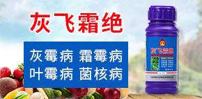 山東強農(nóng)生物科技有限公司