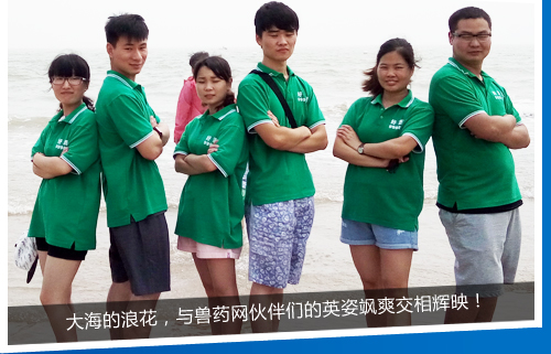 �󺣵��˻����c�Fˎ�W(w��ng)��邃��Ӣ���Sˬ�����xӳ��